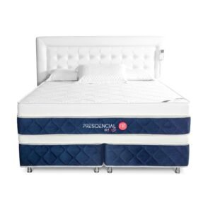 A.R.S Presidencial - Vibro Doble- Bio power  37 cm